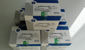 上海快灵非洲猪瘟荧光定量PCR试剂盒